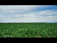 slimme elektrische lineaire actuator